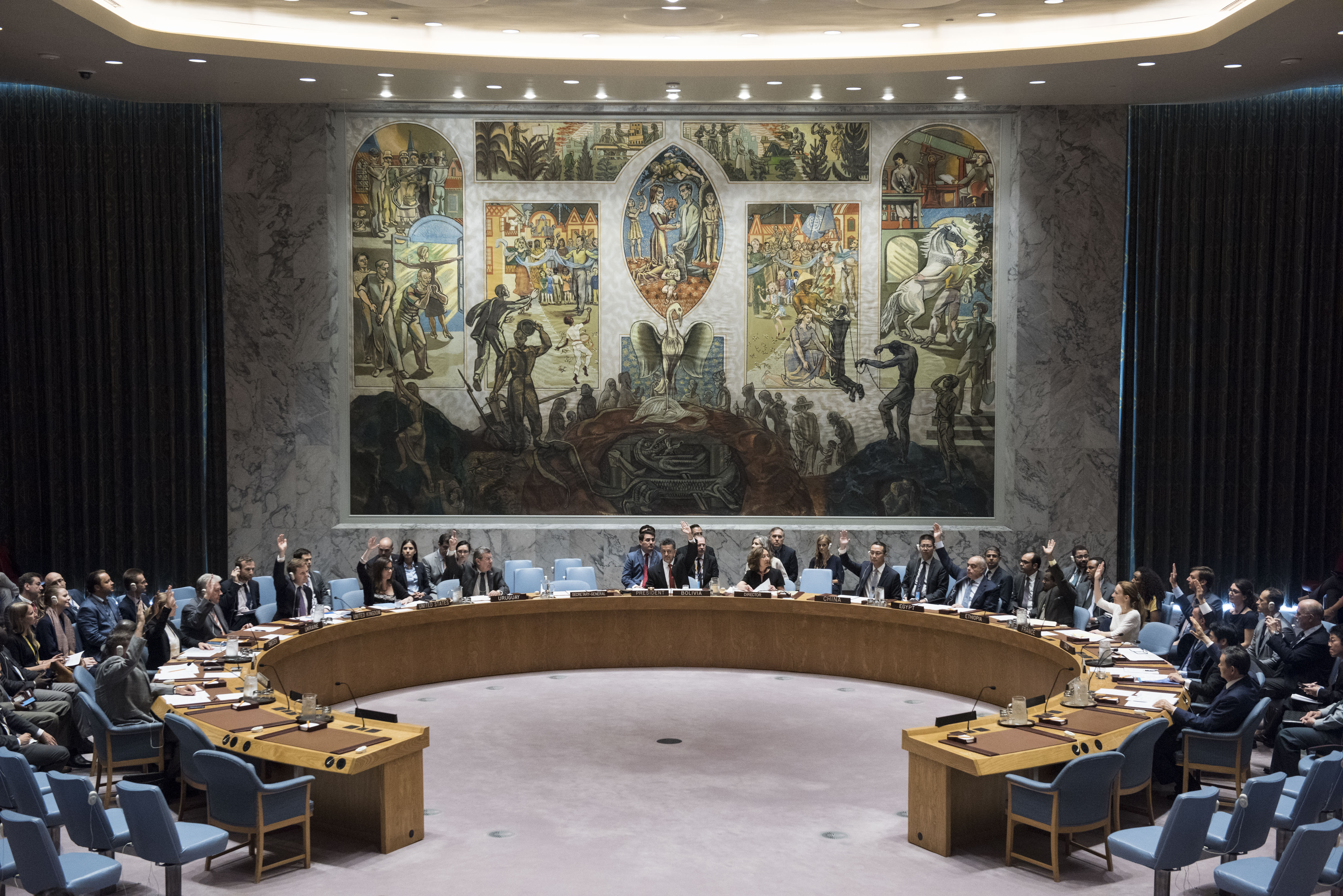 un security council case study