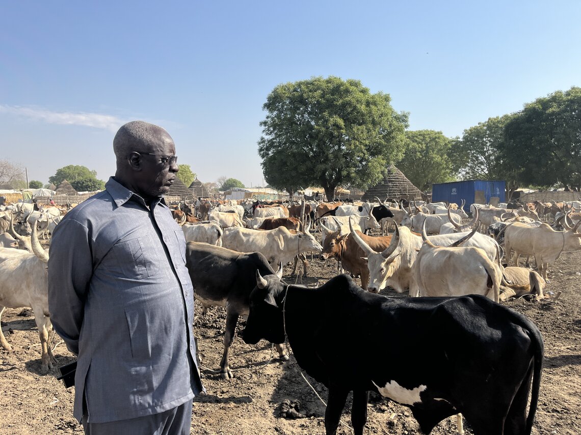 The Paramount Chief Bulabek Deng Kol of the Ngok Dinka tribe looks over his community’s cattle as they receive treatment from the Indian Battalion serving with UNISFA. UN Photo