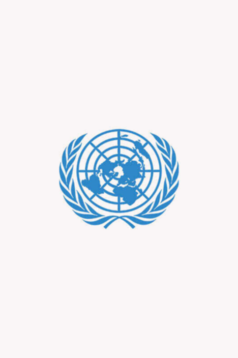 UN logo on a grey background