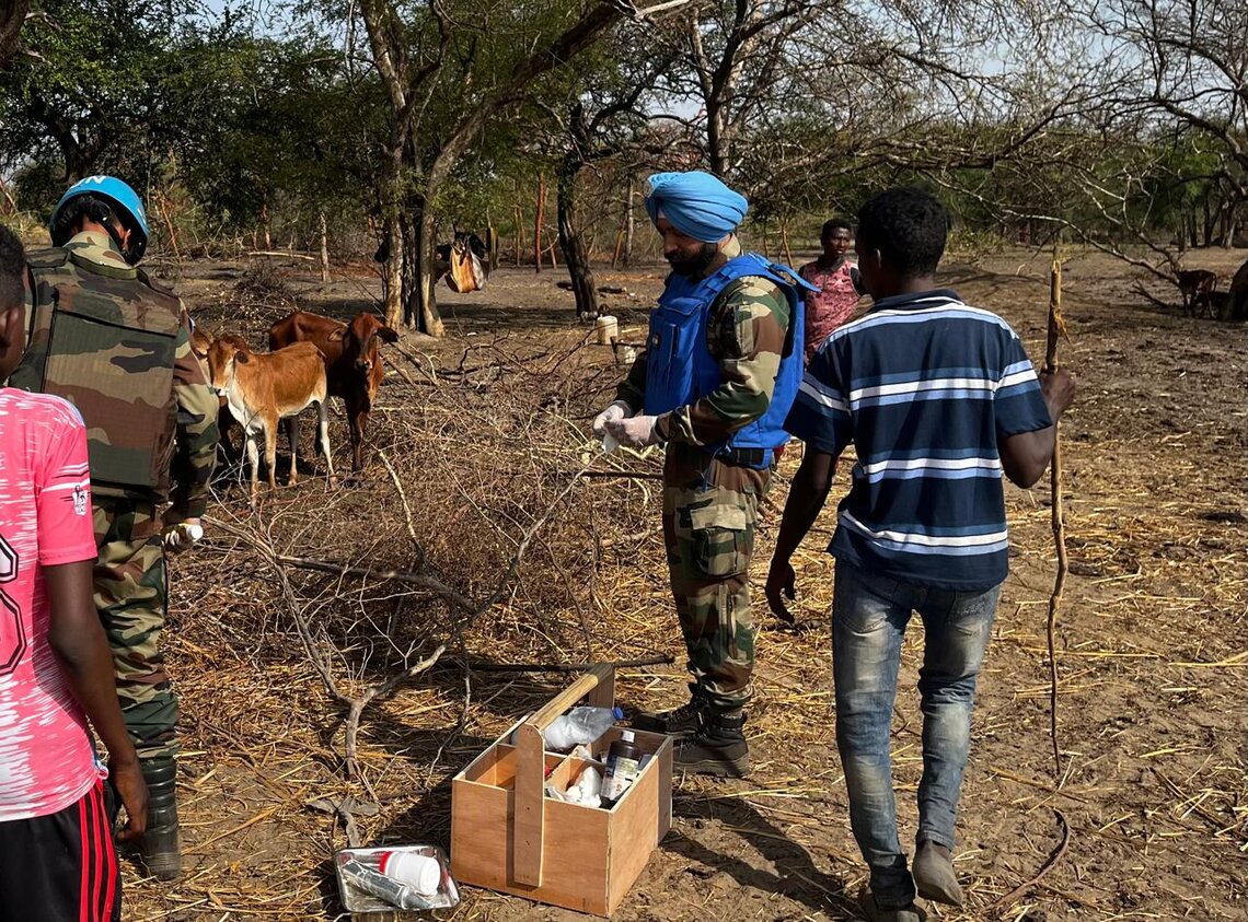 Lieutenant Colonel Gurpreet Singh Bali treats the cattle belonging to the Misseriya community during one of their veterinary camps in northern Abyei. UN Photo