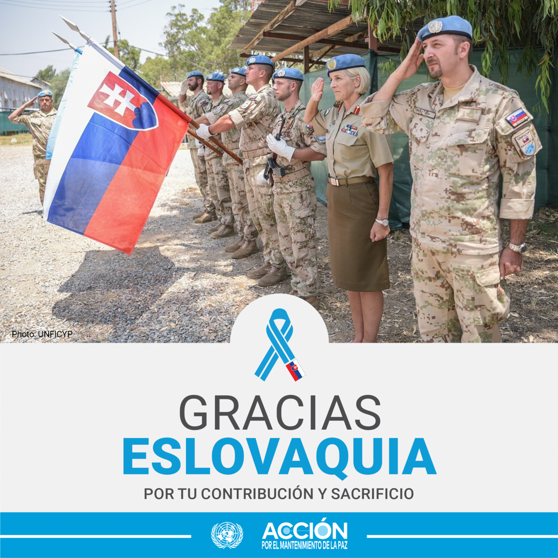Tarjeta con una hilera de cascos azules de Eslovaquia y el texto: Gracias, Eslovaquia, por tu servicio y sacrificio.