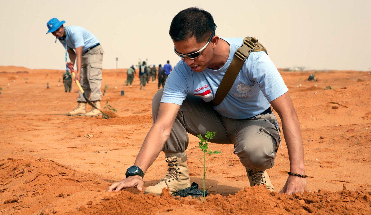 Le personnel de la MINUAD (civils, militaires et policiers) commémore la Journée mondiale de l'environnement en plantant des arbres au quartier général de la MINUAD à El Fasher.