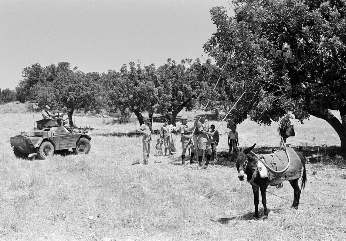 1 Sept 1968, Cyprus: Soldiers of the British Contingent serving with UNFICYP give a helping hand to Cypriot farmers harvesting carobs in the Limassol area where the British Contingent is deployed. UN Photo/DB